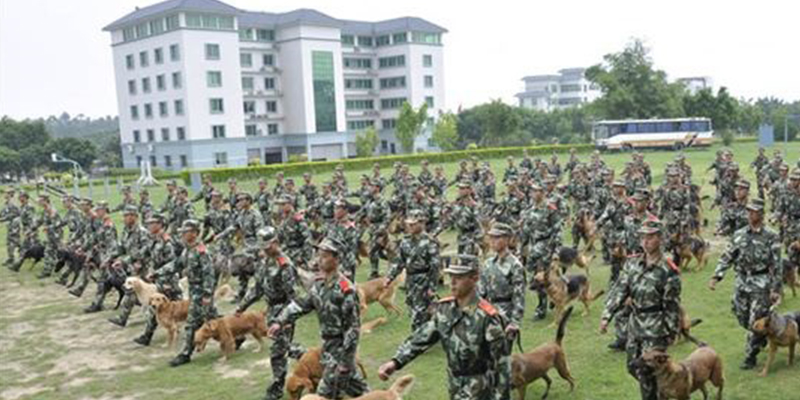 廣州武警警犬訓練基地固定看臺全部竣工